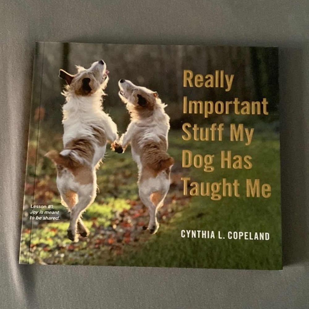 Really Important‎ Stuff My Dog Has Taught Me book